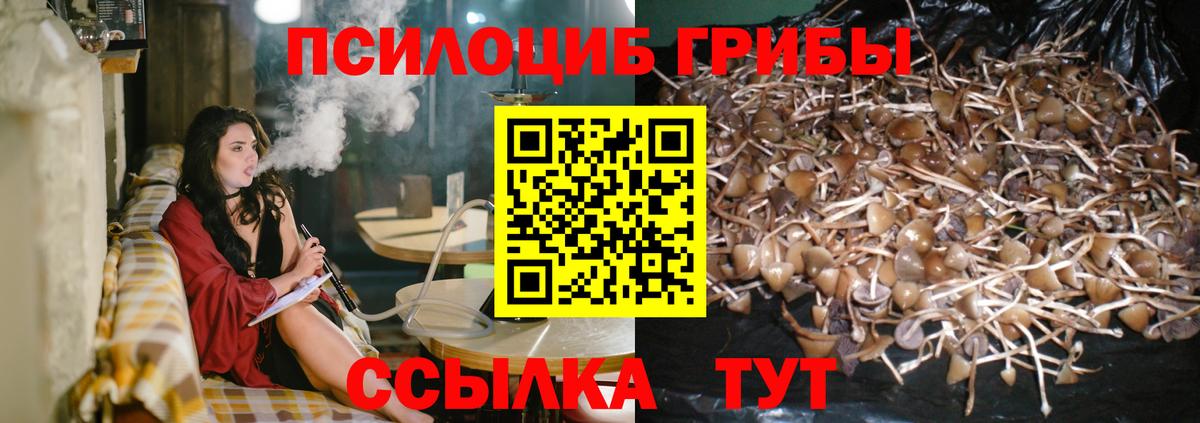 Галлюциногенные грибы мухоморы  Вход с VPN  Новочеркасск 